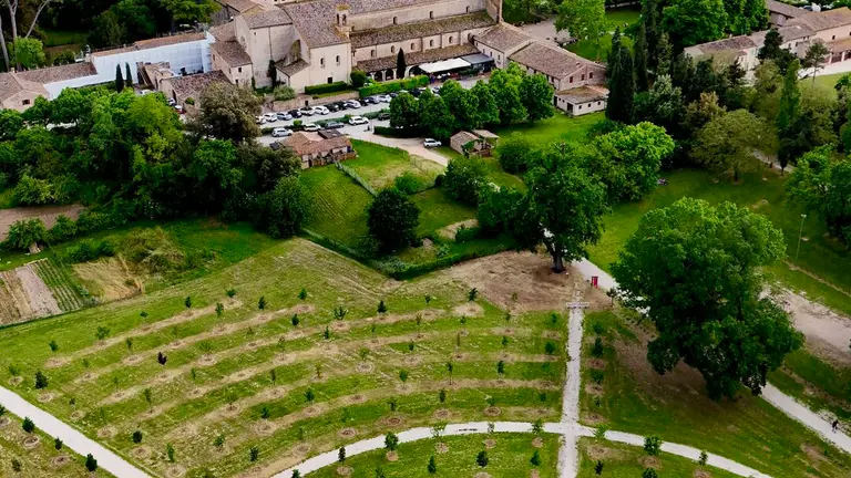 Ripresa aerea da drone