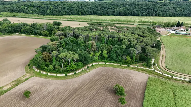 Dettaglio fotografico ripreso dal drone